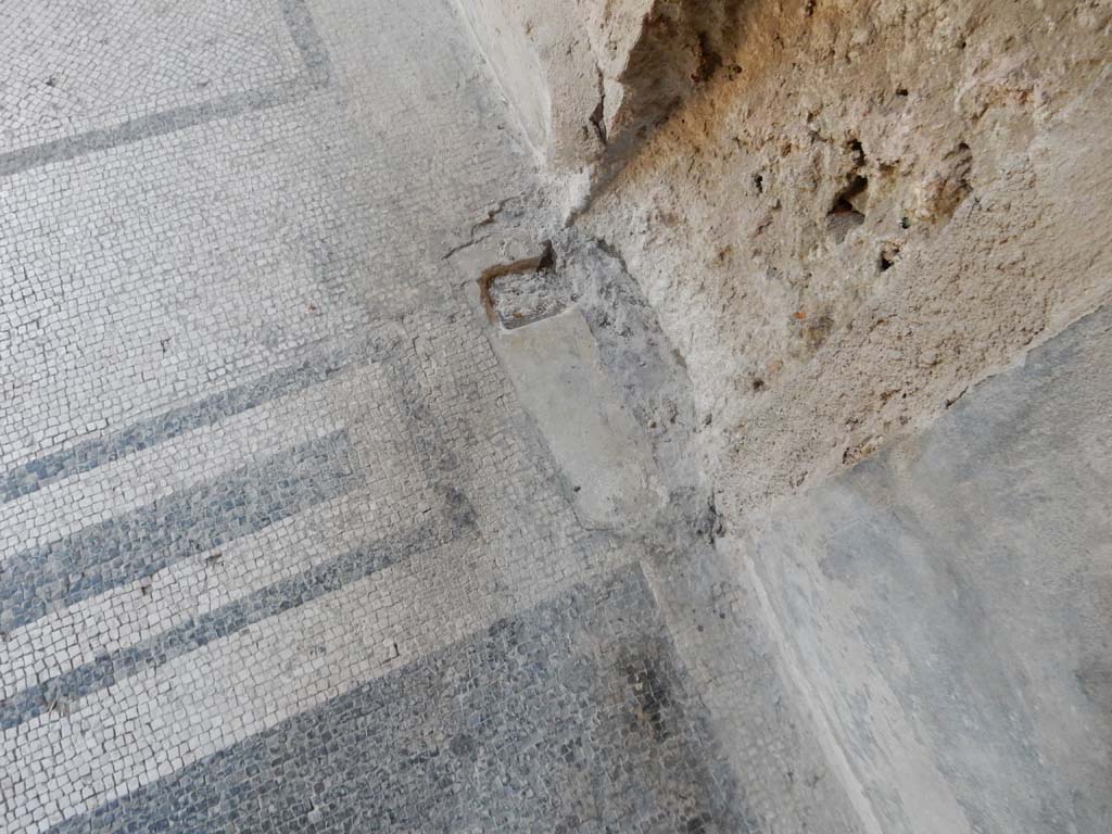 Villa San Marco, Stabiae, June 2019. Room 25, detail of mosaic doorway threshold.
Photo courtesy of Buzz Ferebee
