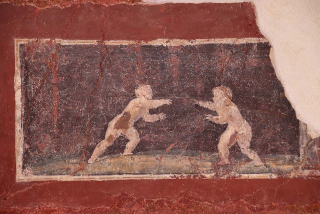 Villa San Marco, Stabiae, October 2020. Room 25, detail of painted panel of two cupids wrestling, from east end of north wall. Photo courtesy of Klaus Heese.


