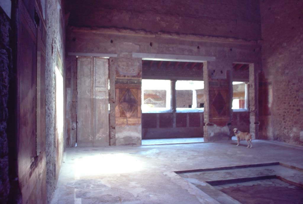 Villa dei Misteri, Pompeii. August 1976. Room 64, looking towards north-east corner of atrium.
Photo courtesy of Rick Bauer, from Dr George Fay’s slides collection.
