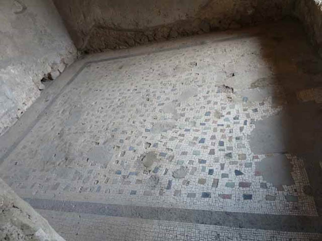 Villa of Mysteries, Pompeii. May 2010. Mosaic floor of room 47.