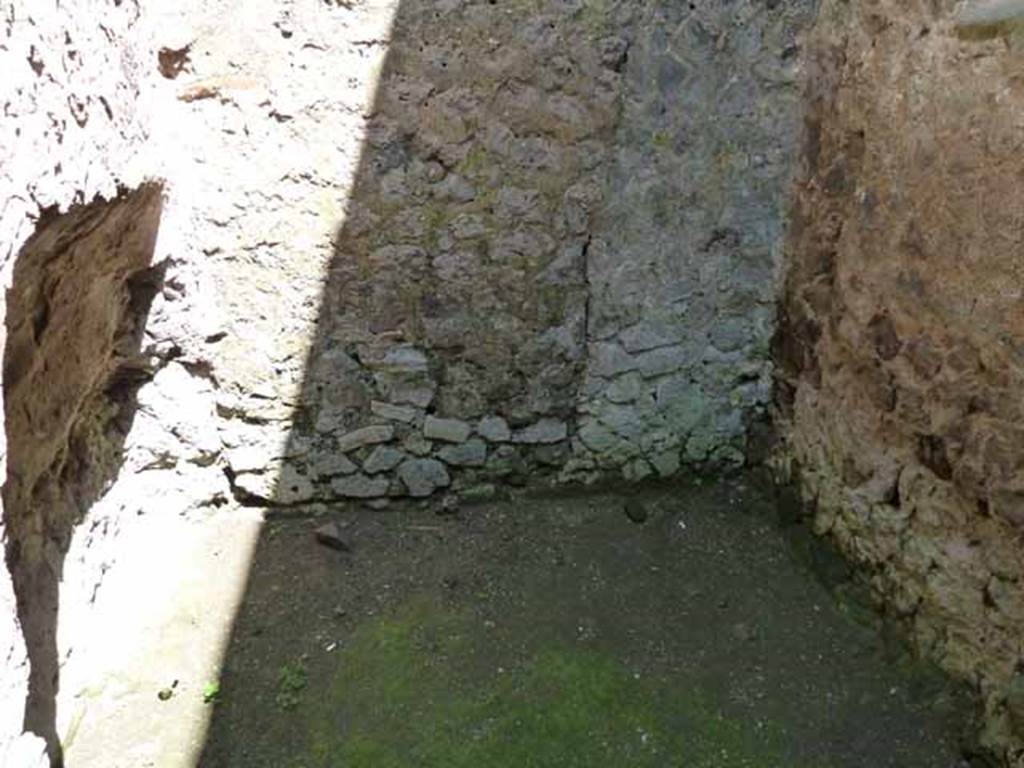 Villa of Mysteries, Pompeii. May 2010. Room 28, south wall.