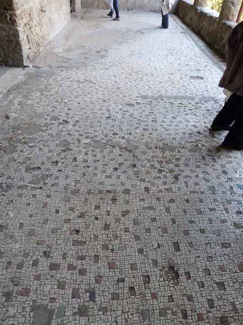 Villa of Mysteries, Pompeii. May 2010. Mosaic floor of portico P4, looking west.