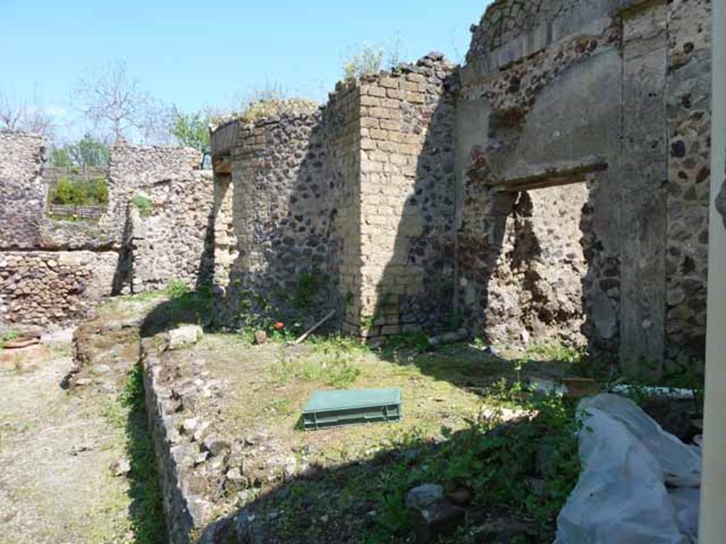 Villa of Mysteries, Pompeii. May 2015. Looking west along the north side of the garden in the north-west corner. Photo courtesy of Buzz Ferebee.
