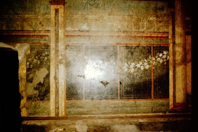 Villa of Mysteries, Pompeii. May 2006. Room 6, looking north from portico P1.