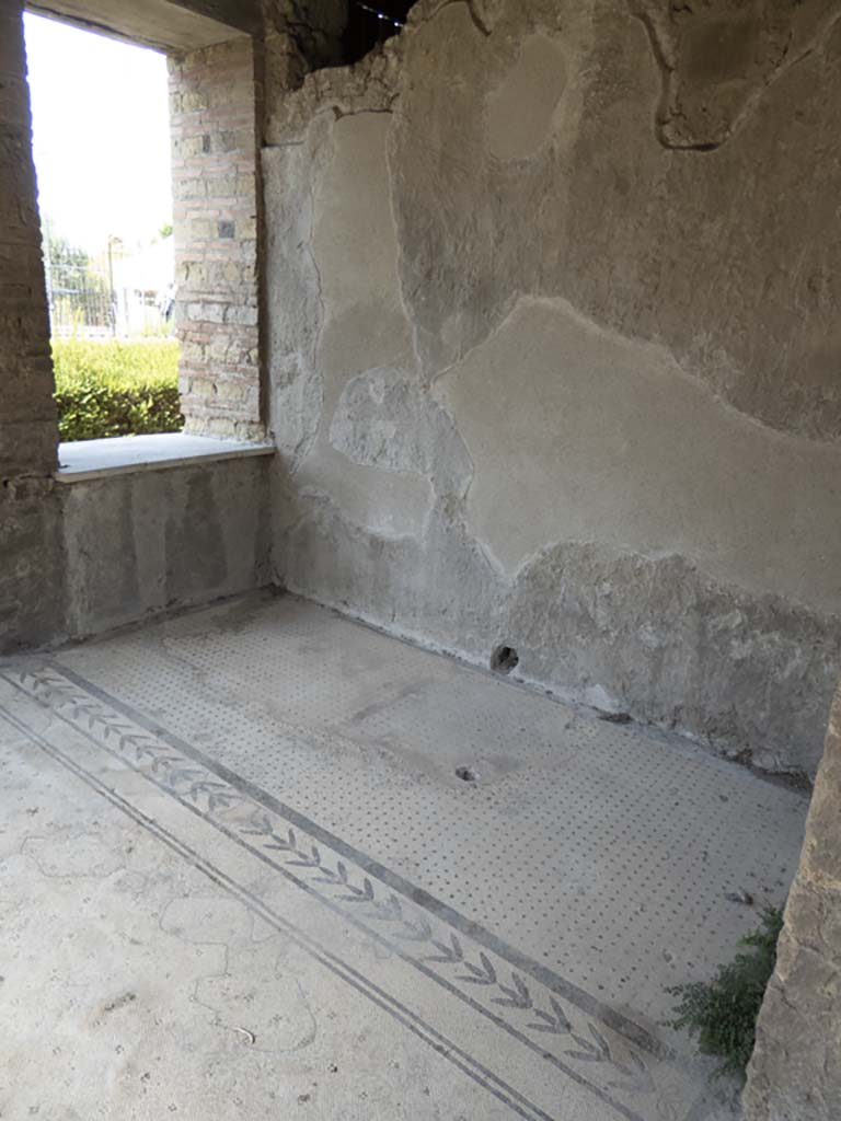 Villa of Mysteries, Pompeii. May 2010. Room 9, mosaic floor. Looking west.