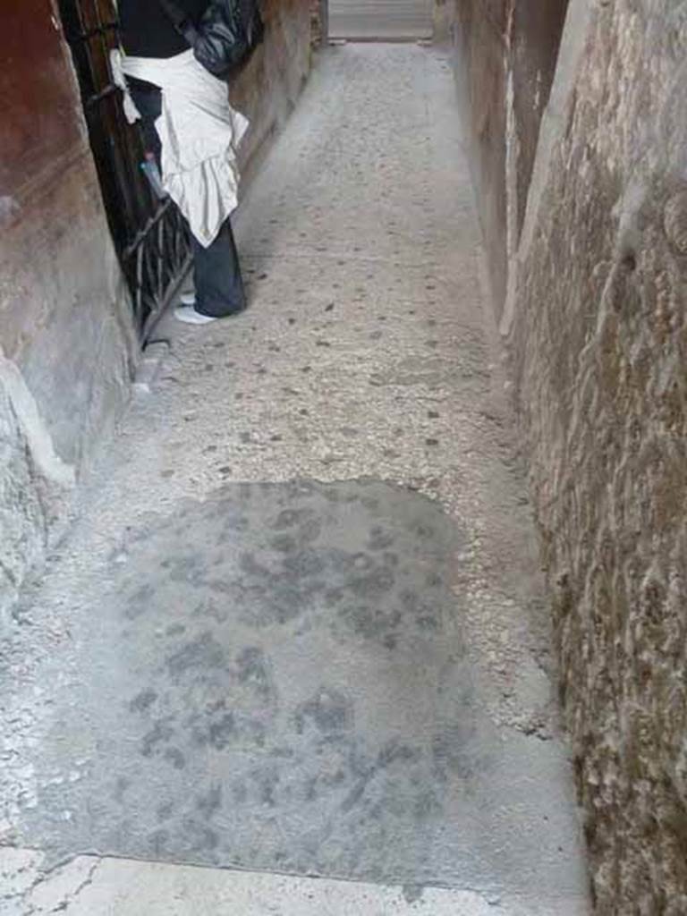Villa of Mysteries, Pompeii. May 2010. Corridor F2, floor.