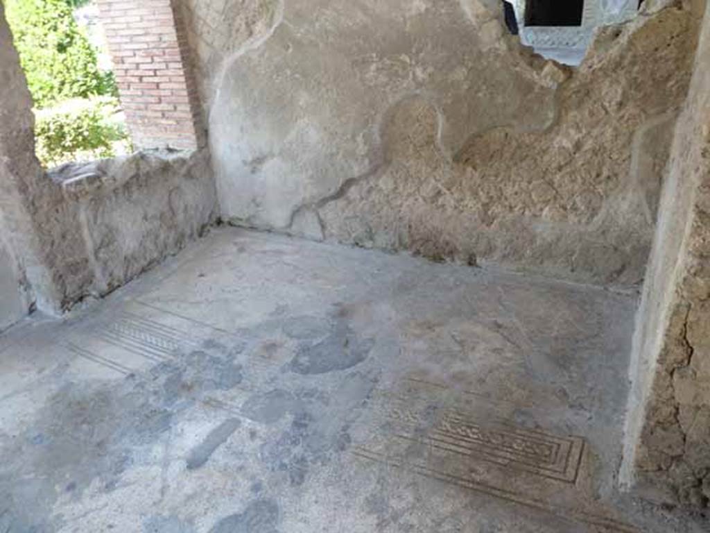 Villa of Mysteries, Pompeii. May 2010. Room 10, mosaic floor on east side.