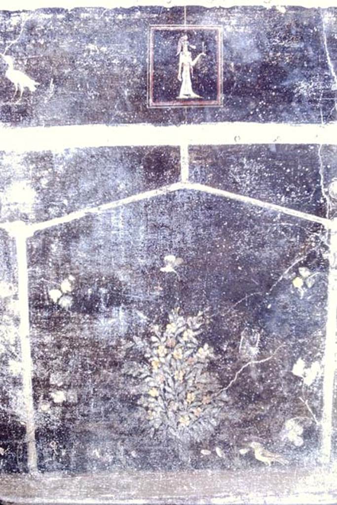Villa of Mysteries, Pompeii. May 2010. Room 2, tablinum, west end of north wall.