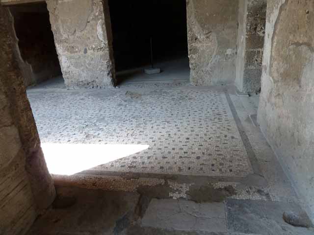 Villa of Mysteries, Pompeii. May 2010. Mosaic floor of portico P1, outside doorways to corridor F1, rooms 6 and 62.