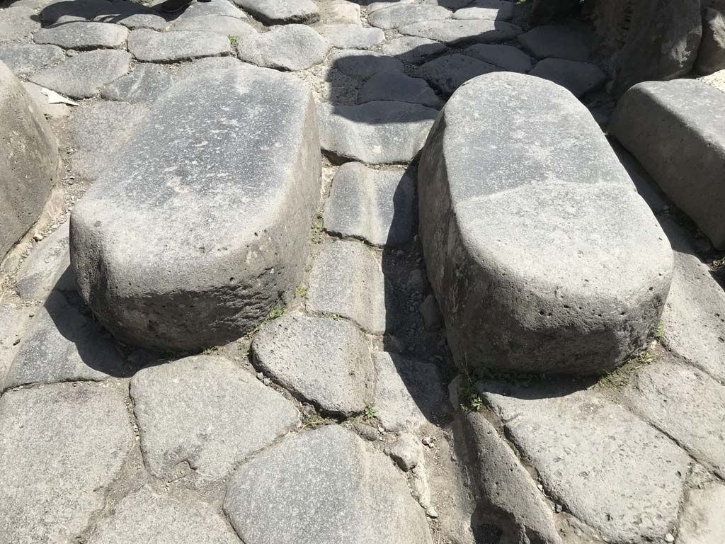 Via Stabiana, Pompeii. April 2019. Detail of two lava-block stepping stones across Via Stabiana. 
Photo courtesy of Rick Bauer.
