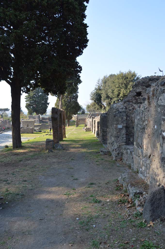 Via dei Sepolcri, east side, Pompeii. October 2017. Looking north.
Foto Taylor Lauritsen, ERC Grant 681269 DCOR.
