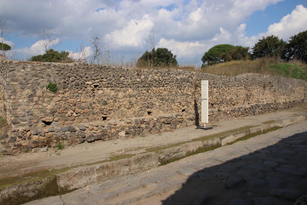 III.6 Pompeii, on left. September 2005. Looking north into unexcavated roadway. III.7.1, on right.