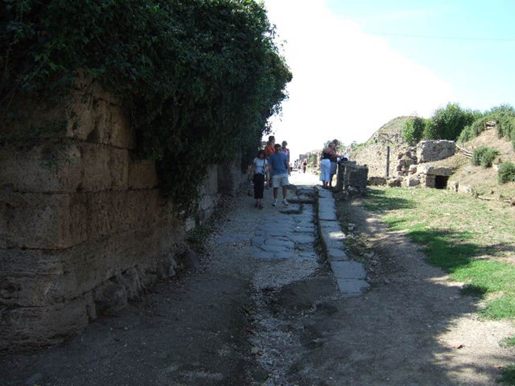 Pompeii Porta Sarno Necropolis. 2019. Panoramic view of excavation site. 
The continuation of the Via dell'Abbondanza, the ancient road from the gate, now blocked by the railway, is to the extreme left running west to east. 
The paved area to the right of the Via dell’Abbondanza is a secondary road leading to the road that runs around the city walls.
Photo courtesy Necropolis of Porta Sarno Research Project.

