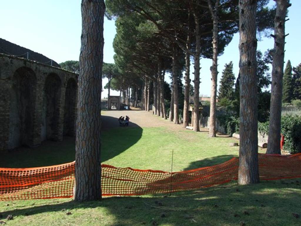 North side of Amphitheatre. March 2009. Looking west towards north east side of Palestra and Via di Castricio. 
