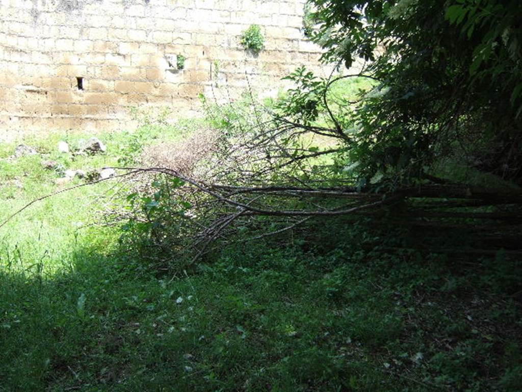 HGE31 Pompeii. May 2006. Derelict site of area of HGE31 and HGE32. According to Garcia y Garcia, unfortunately also hit by a bomb in September 1943, and lost were the Samnite tombs excavated in 1873 and recorded by Fiorelli. See Garcia y Garcia, L., 2006. Danni di guerra a Pompei. Rome: LErma di Bretschneider. (p.163) 