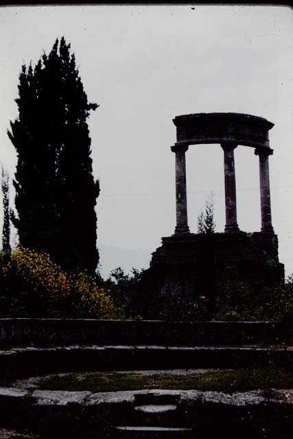 HGW04 Pompeii. 1961. Looking west towards the schola tomb of Mamia.  Photo by Stanley A. Jashemski.
Source: The Wilhelmina and Stanley A. Jashemski archive in the University of Maryland Library, Special Collections (See collection page) and made available under the Creative Commons Attribution-Non Commercial License v.4. See Licence and use details. 
J61f0614

