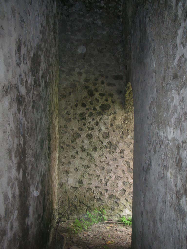 Tower VII, Pompeii. May 2010. 
Looking north along corridor leading to vaulted doorway into main chamber. Photo courtesy of Ivo van der Graaff.
