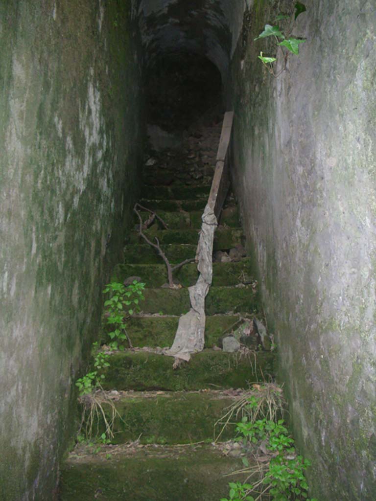 Tower VIII, Pompeii. May 2010. Stairway, looking up to the south. Photo courtesy of Ivo van der Graaff.