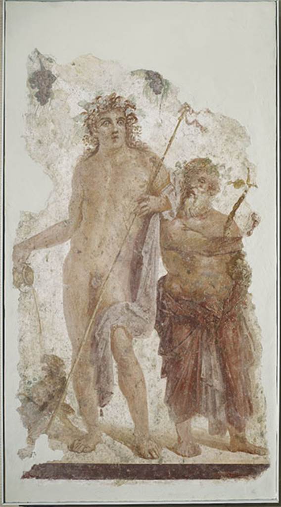 Villa rustica del fondo Ippolito Zurlo, Pompeii. Torcularium H.
Painting of Bacchus and Silenus from the pillar to the right of the small entrance doorway. 
Bacchus, 0.76m high, crowned with vine-leaves and naked except for a purple cloak, leans limply with left elbow on the right shoulder of Silenus, nearby. 
The purple cloak, turned around the left elbow, fell down the left side and fell over the knee.
He holds the long thyrsus with the left hand, and his right hand is outstretched, pouring the wine into the mouth of the panther, who was squatting at his feet. 
The god is looking upwards.  
Silenus, 0.62m high crowned with a grapevine and also naked on his top, had his loins wrapped in a purple cloak which was knotted at his belly. 
He was in the act of touching the lyre, which he held leaning on his left arm, and with his gaze turned to the god. 
The background was white, and from the top hung a garland of vine-leaves and grapes.
Photo © Trustees of the British Museum. Inventory number 1899.215.1.
Bacchus, Silenus and panther at britishmuseum.org