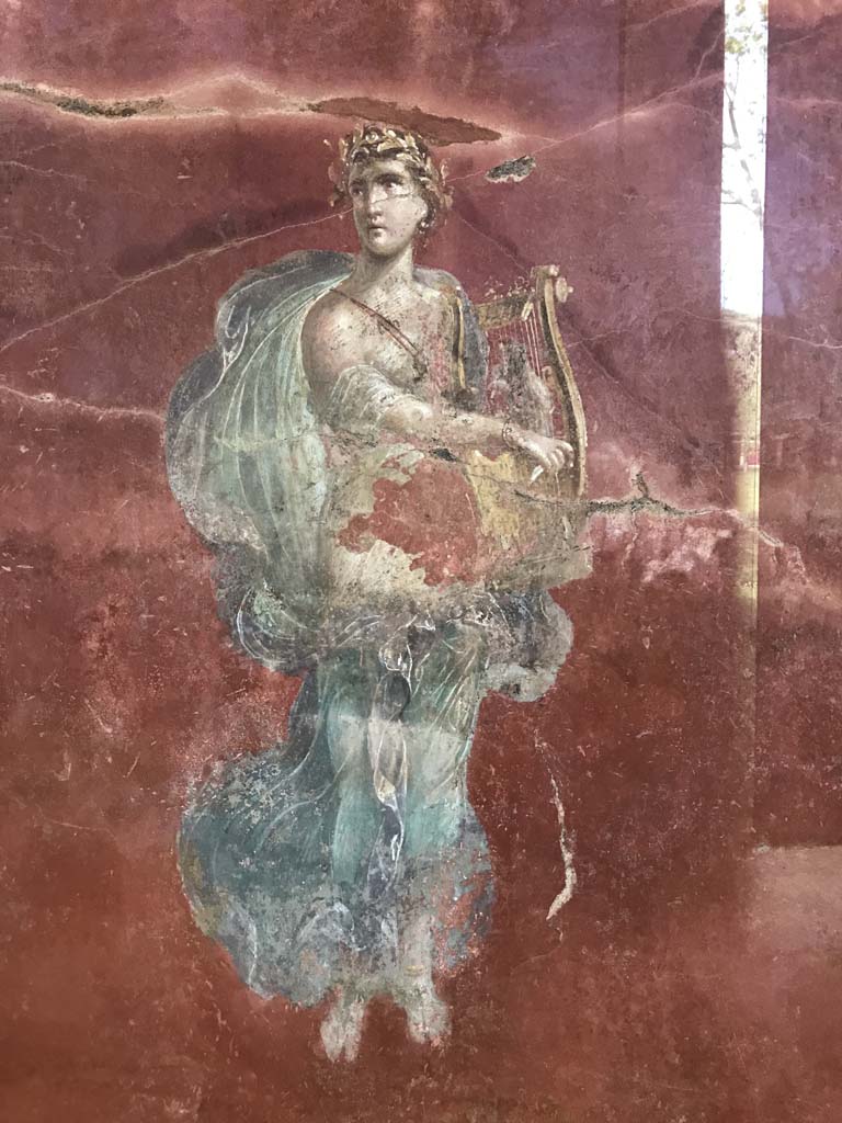 Complesso dei triclini in località Moregine a Pompei. April 2019. Triclinium A, north wall, Apollo with cithara. 
Photo courtesy of Rick Bauer.
This has also been suggested as Erato, the Muse of lyric poetry, particularly erotic poetry, and mimic imitation, who is often depicted with a wreath of myrtle and roses, and holding a lyre, or a small kithara, a musical instrument often associated with Apollo.

