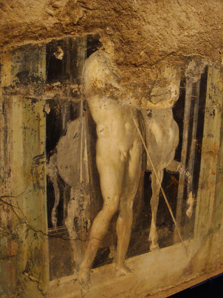 Complesso dei triclini in località Moregine a Pompei. Triclinium B, west wall, painting of one of the Dioscuri.
Photo courtesy of Stefano Bolognini, via Wikimedia Commons.
