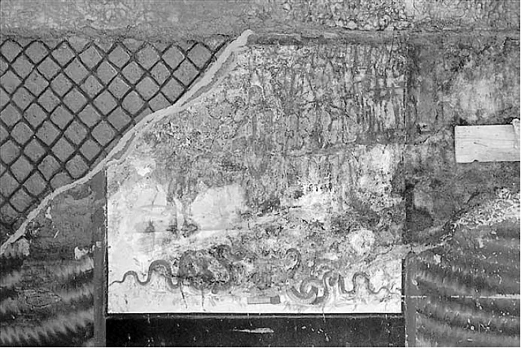 Complesso dei triclini in località Moregine a Pompei. Excavation photo. Kitchen F. West wall.
At the centre of the west wall is a large lararium painted with scenes of sacrifice on a white background. In the foreground, in the centre, is an altar to which two long snakes approach, rich in details as regards the scales. In the background, also in the centre, there is a priest, head veiled, dressed in a white mantle with red borders. On the sides two attendants with ivy crowned heads and short white robes act as helpers.
See Nappo, S. C., 2001. La decorazione parietale dell'hospitium dei Sulpici in località Murecine a Pompei MEFR Antiquité, tome 113, n°2. 2001, pp. 889-890, fig. 31.
