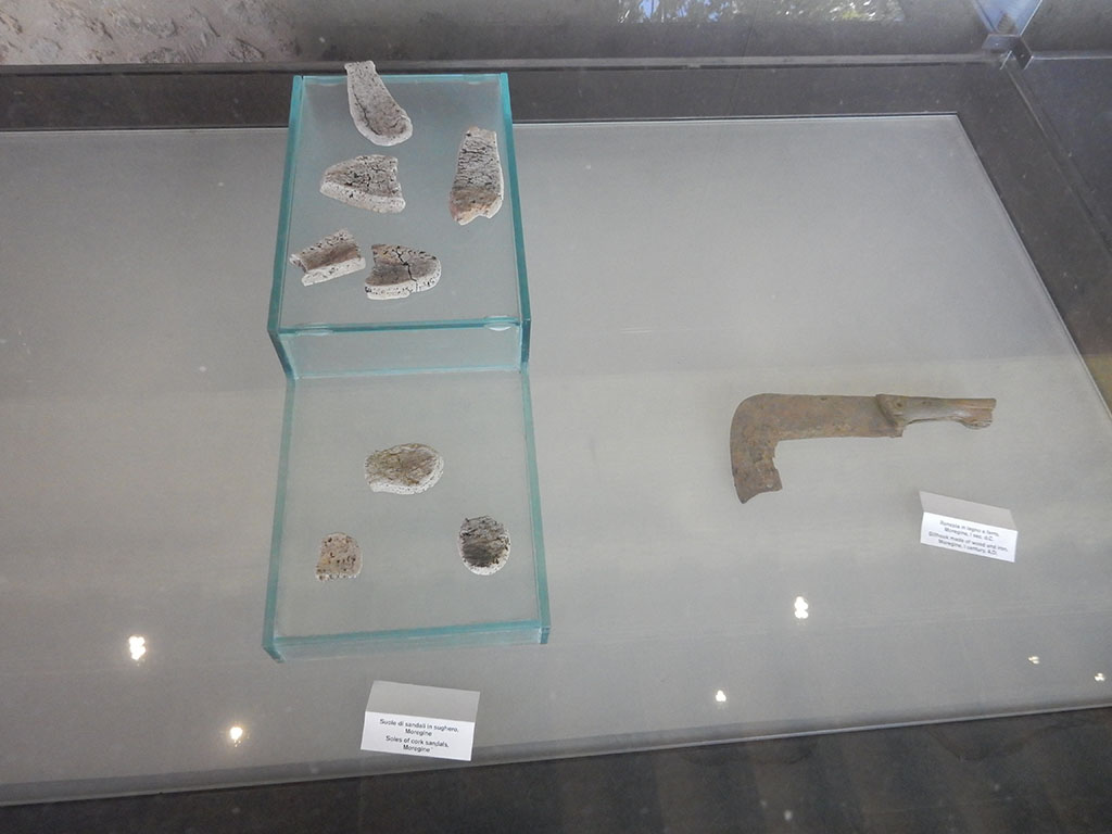 Complesso dei triclini in località Moregine a Pompei. May 2018. Remains of cork sandals and a wood and iron billhook.
Photo courtesy of Buzz Ferebee.
