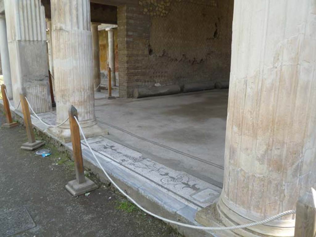 Oplontis, May 2011.Room 21, mosaic threshold separating floor of grand salon from the north garden. Photo courtesy of Michael Binns.
