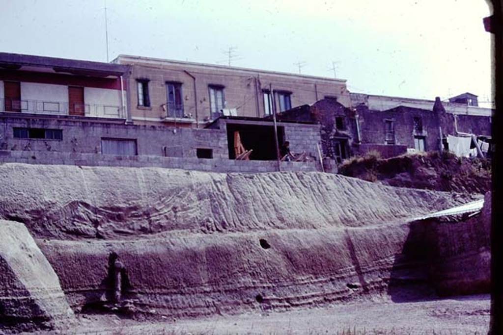 Oplontis, 1977. Area 56, looking to the north end of the east side of the north garden. Photo by Stanley A. Jashemski.   
Source: The Wilhelmina and Stanley A. Jashemski archive in the University of Maryland Library, Special Collections (See collection page) and made available under the Creative Commons Attribution-Non Commercial License v.4. See Licence and use details. J77f0106

