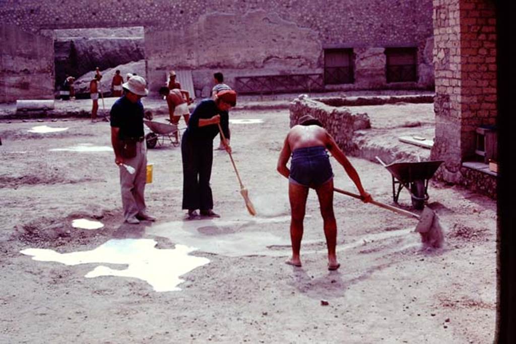 Oplontis, 1977. Area 56, the north garden, looking east. Hard at work, cleaning and painting. Photo by Stanley A. Jashemski.   
Source: The Wilhelmina and Stanley A. Jashemski archive in the University of Maryland Library, Special Collections (See collection page) and made available under the Creative Commons Attribution-Non Commercial License v.4. See Licence and use details. J77f0250
