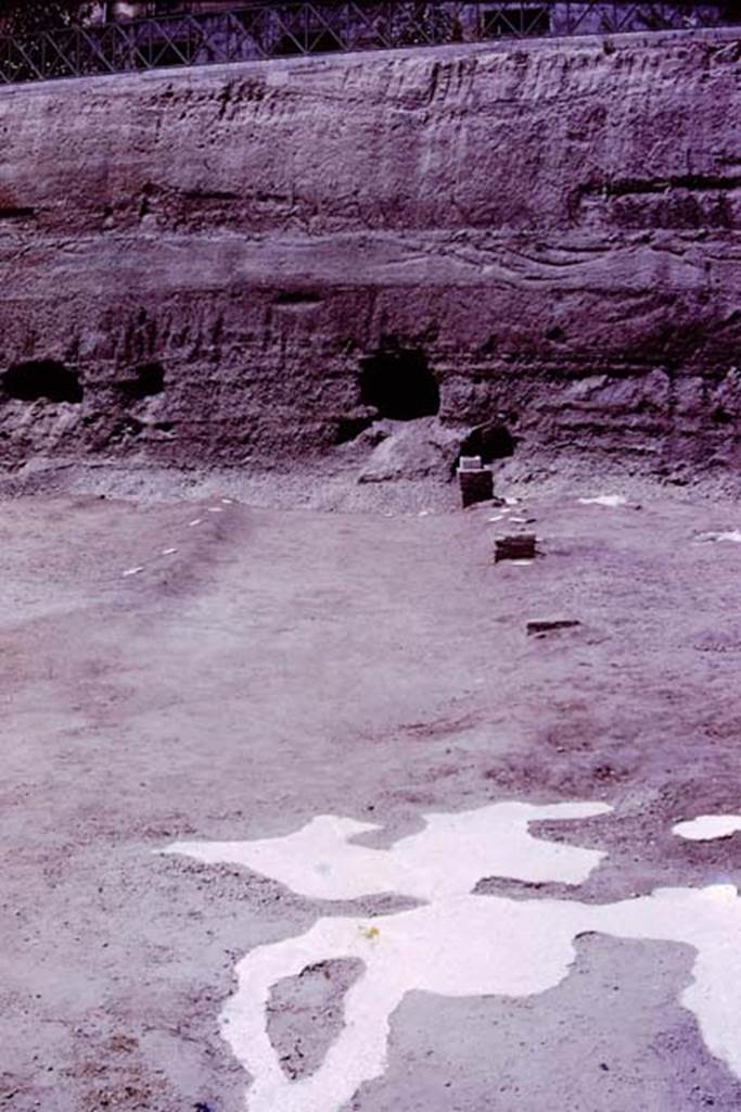 Oplontis, 1977. Looking north-west in the north garden.
Looking from the huge root cavity found in 1974, which took 230 large buckets of cement to fill in 1975, along the diagonal line of a pathway, with bases.
Wilhelmina thought the diagonal pathway probably joined with the central pathway leading out from room 21, although this could not be proved as the meeting point would be under the still unexcavated area.
Photo by Stanley A. Jashemski.
Source: The Wilhelmina and Stanley A. Jashemski archive in the University of Maryland Library, Special Collections (See collection page) and made available under the Creative Commons Attribution-Non Commercial License v.4. See Licence and use details.
J77f0358
According to Wilhelmina, “At the edge of the diagonal passageway on the east, four masonry statue bases were found. On them the marble shafts that supported the sculptured white marble heads had been mounted. In 1975, we had found the portrait head of a woman of the Julio-Claudian period. In addition, the Italian excavators had found the head of the goddess Aphrodite, the child Dionysus and the fine head of a Julio-Claudian boy, which some claimed was most certainly the child Nero.
These herms, which would have been set in the middle of clumps of plants, mainly oleanders, reminded us of the garden paintings that showed sculpture set amid masses of flowering oleanders. Only the shaft of one other herm was found, and a few details of the hair still on the shaft were sufficient for Stefano De Caro to identify the missing head as that of a bearded archaic-type Dionysus. 
See Jashemski, W.F., 2014. Discovering the Gardens of Pompeii: Memoirs of a Garden Archaeologist, (p.255)
