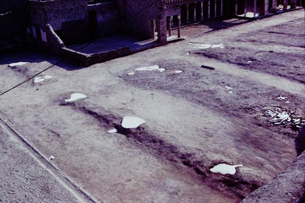 Oplontis, 1977. North garden, looking south-west across garden area. The large clump of cavities, probably small trees or shrubs, possibly oleanders, can be seen on the right. Across the centre is the filled white painted line of five root cavities belonging to five large trees. On the left, along the edge of the portico, is a row of smaller root cavities, later identified as daisy chrysanthemums. Photo by Stanley A. Jashemski.   
Source: The Wilhelmina and Stanley A. Jashemski archive in the University of Maryland Library, Special Collections (See collection page) and made available under the Creative Commons Attribution-Non Commercial License v.4. See Licence and use details. J77f0444

