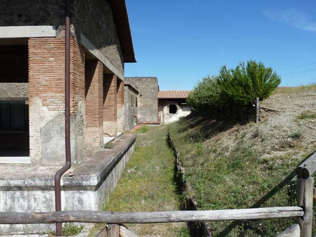 Stabiae, Villa Arianna, September 2015. Looking east at rear of Triclinium A, with the unexcavated, on the right.