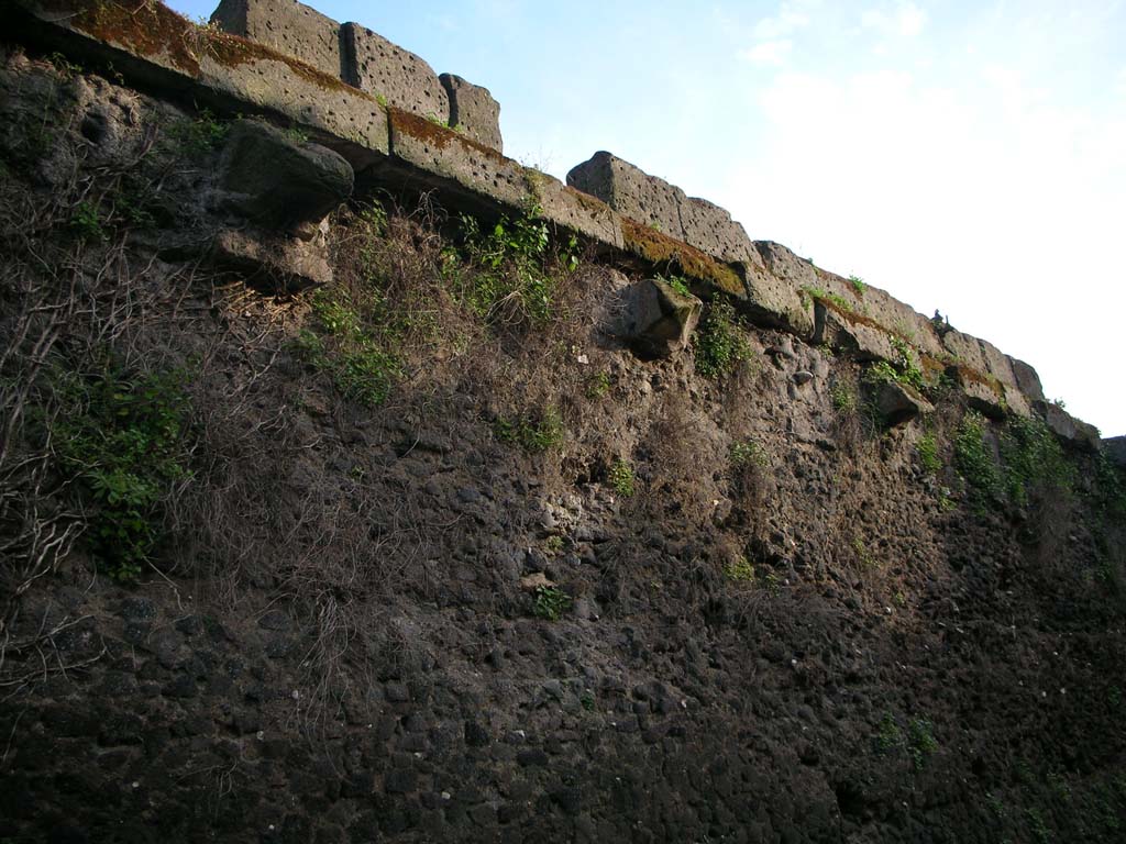 Walls on north side of Pompeii. May 2010.  Detail of upper wall. Photo courtesy of Ivo van der Graaff.