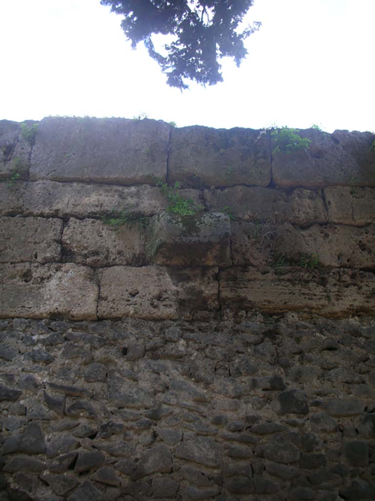 Walls on north side of Pompeii. May 2010. Detail from upper wall. Photo courtesy of Ivo van der Graaff.