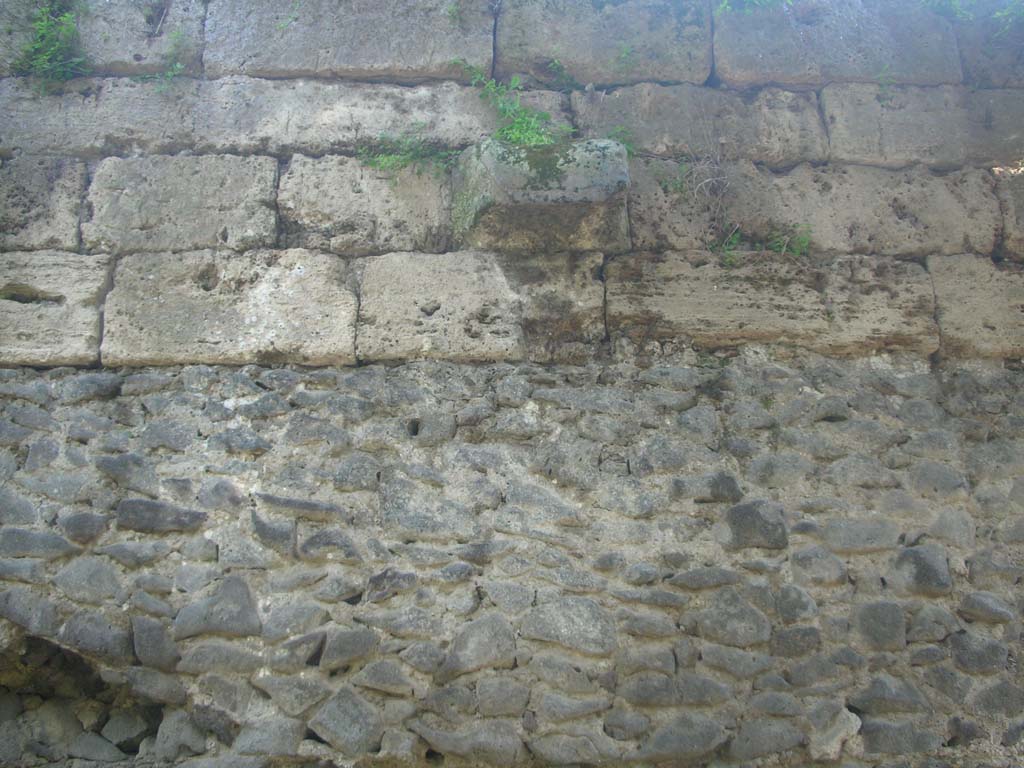 Walls on north side of Pompeii. May 2010. Detail from upper wall. Photo courtesy of Ivo van der Graaff.