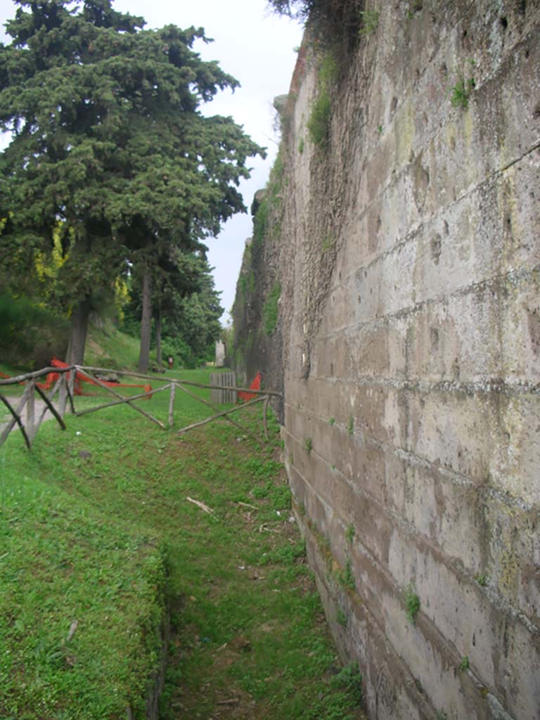 Walls on north side of Pompeii. May 2010. 
Looking east from near west end near Herculaneum Gate. Photo courtesy of Ivo van der Graaff.
