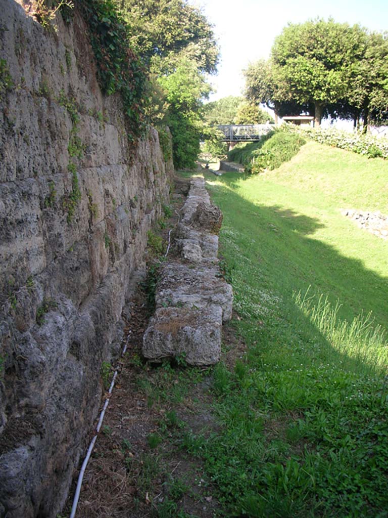 Walls on east side of Tower III, Pompeii. May 2010. 
Looking east along City Wall. Photo courtesy of Ivo van der Graaff.
