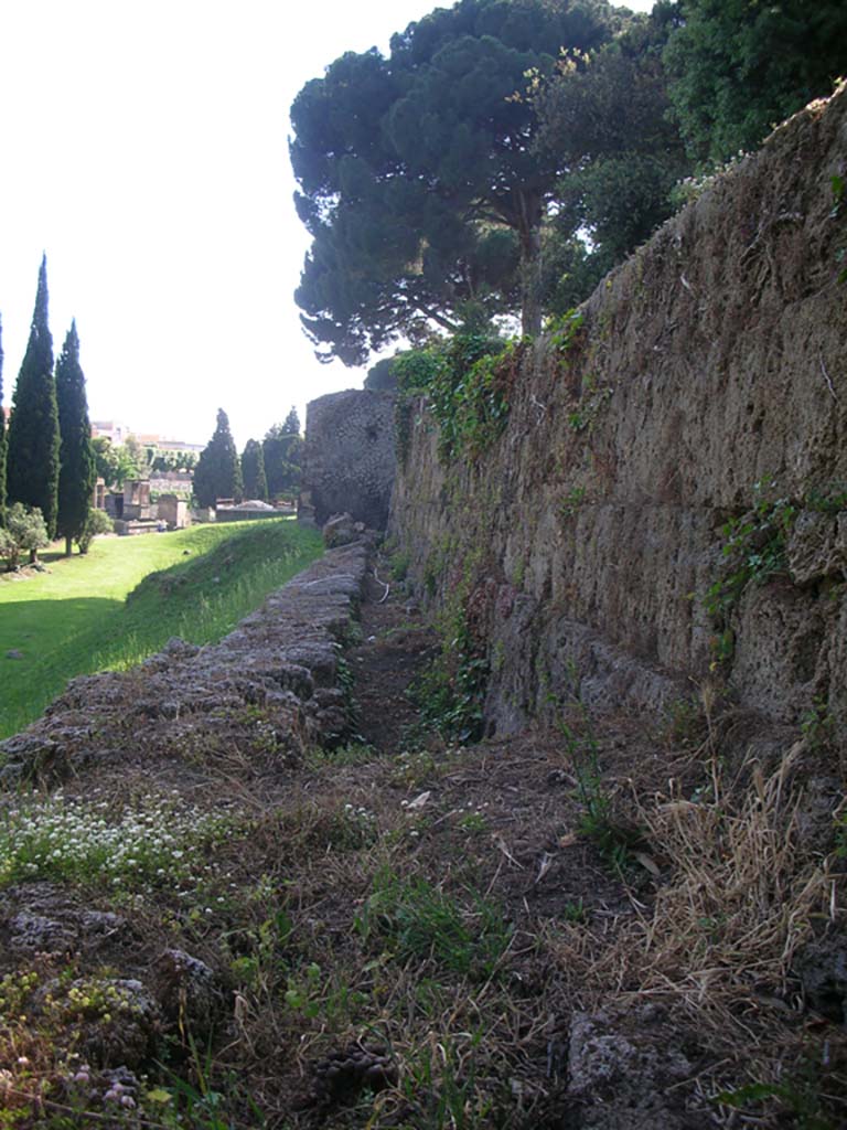 Walls on east side of Tower III, Pompeii. May 2010. 
Looking west along City Wall. Photo courtesy of Ivo van der Graaff.
