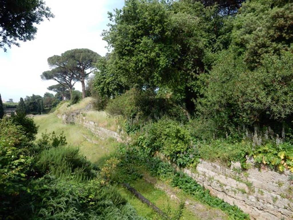 Walls near Amphitheatre entrance, Pompeii, May 2018. Looking west along city walls towards east side of Tower III. 
Photo courtesy of Buzz Ferebee.
See Notizie degli Scavi, 1939, p.232-238, 
for information on tower and walls on south side of Palestra, including reproductions of incised marks on the walls (fig .40 and 41 on pages 234-5).

