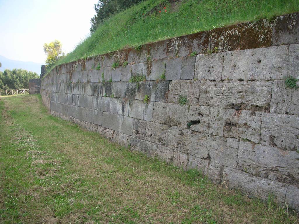 Walls on the east side of Pompeii, May 2010. Looking south along walls from near Tower VI. Photo courtesy of Ivo van der Graaff.