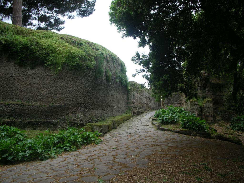 Walls on east side of Pompeii. May 2010. Looking towards south side of wall leading into Nola Gate. Photo courtesy of Ivo van der Graaff.