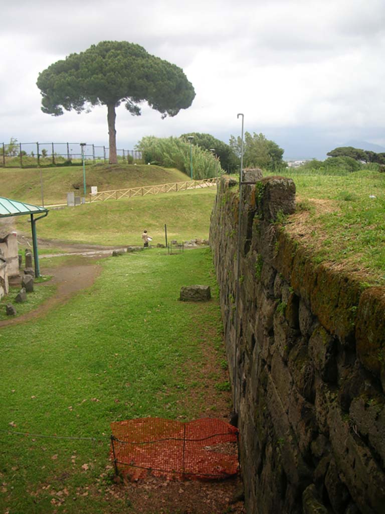 Walls on north side of Pompeii. May 2010. 
Looking east from Tower X towards Vesuvian Gate. Photo courtesy of Ivo van der Graaff.
