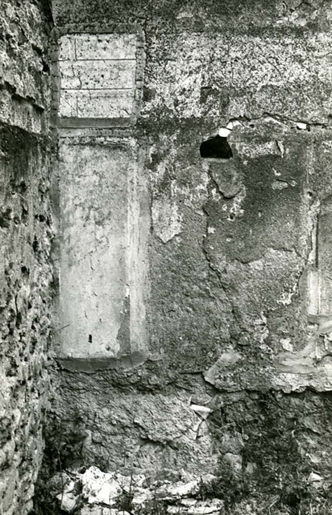 II.1.11/12 Pompeii. 1974. 
House, oblong room SW of peristyle, N wall by NW corner, detail. Photo courtesy of Anne Laidlaw.
American Academy in Rome, Photographic Archive. Laidlaw collection _P_74_1_31.
