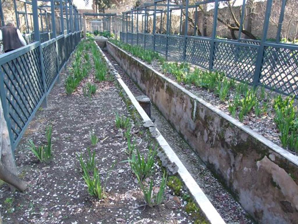 II.2.2 Pompeii. March 2009. Room “l”, garden. Looking south along lower euripus.